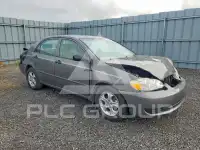 2007 Toyota COROLLA photo