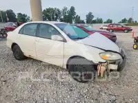 2007 Toyota COROLLA фото