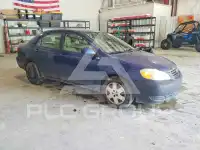 2007 Toyota COROLLA фото