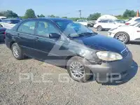2007 Toyota COROLLA фото