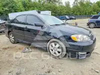 2007 Toyota COROLLA photo