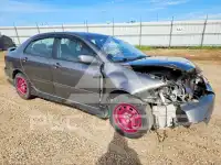 2007 Toyota COROLLA фото