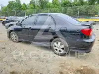 2007 Toyota COROLLA photo