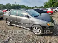 2007 Toyota COROLLA photo