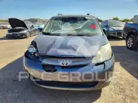 2007 Toyota SIENNA фото