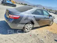 2007 Toyota CAMRY фото