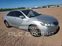 2007 Toyota CAMRY фото