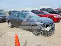 2007 Toyota CAMRY фото