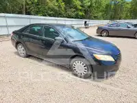2007 Toyota CAMRY фото