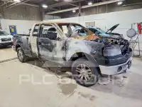 2007 Ford F-150 photo