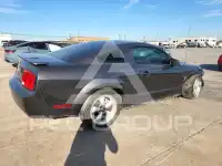 2007 Ford MUSTANG фото