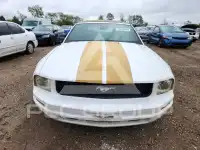 2007 Ford MUSTANG фото