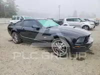 2007 Ford MUSTANG фото