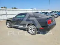 2007 Ford MUSTANG фото