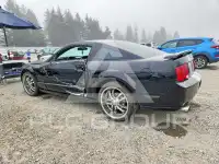 2007 Ford MUSTANG фото