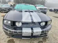 2007 Ford MUSTANG фото