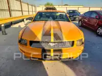 2007 Ford MUSTANG photo