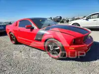 2007 Ford MUSTANG фото