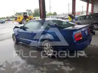 2007 Ford MUSTANG photo