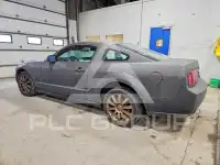 2007 Ford MUSTANG photo