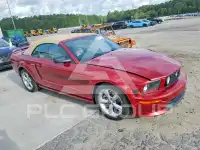 2007 Ford MUSTANG фото