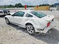 2007 Ford MUSTANG photo