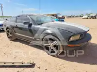 2007 Ford MUSTANG photo