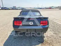 2007 Ford MUSTANG photo