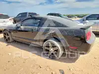 2007 Ford MUSTANG photo