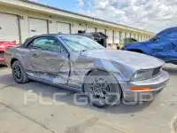 2007 Ford MUSTANG фото