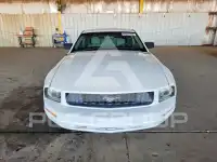 2007 Ford MUSTANG photo