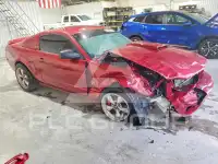 2007 Ford MUSTANG фото
