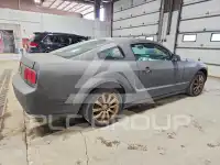 2007 Ford MUSTANG photo