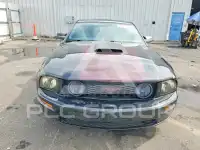 2007 Ford MUSTANG photo