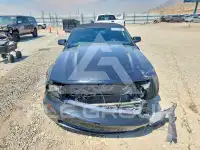 2007 Ford MUSTANG photo