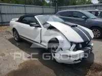 2007 Ford MUSTANG фото