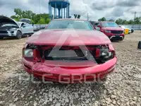 2007 Ford MUSTANG photo