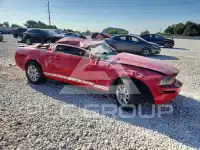 2007 Ford MUSTANG photo