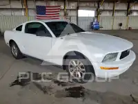 2007 Ford MUSTANG фото