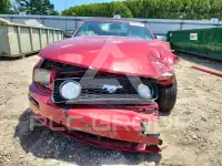 2007 Ford MUSTANG фото