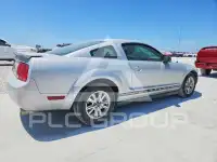 2007 Ford MUSTANG фото