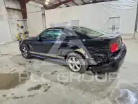 2007 Ford MUSTANG фото
