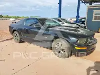 2007 Ford MUSTANG фото