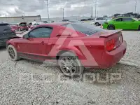 2007 Ford MUSTANG фото