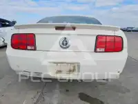 2007 Ford MUSTANG фото