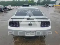 2007 Ford MUSTANG photo