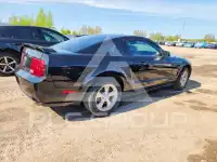 2007 Ford MUSTANG фото