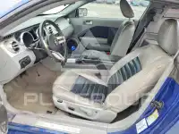 2007 Ford MUSTANG фото