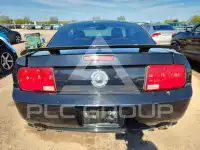 2007 Ford MUSTANG фото