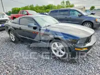 2007 Ford MUSTANG photo